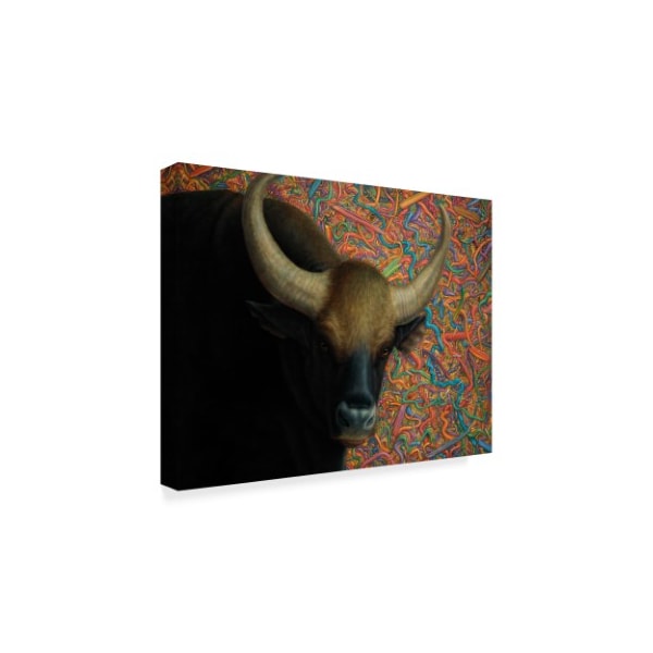 James W. Johnson 'Bull' Canvas Art,24x32